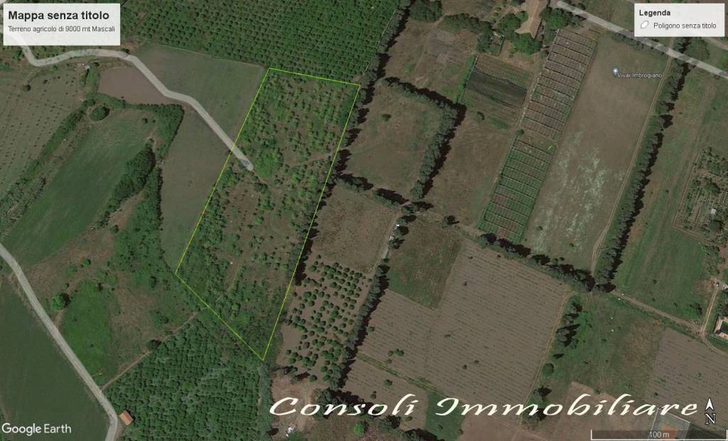 terreno agricolo in vendita a Mascali