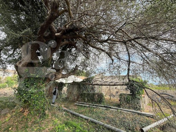 terreno agricolo in vendita a Mascali in zona Fondachello