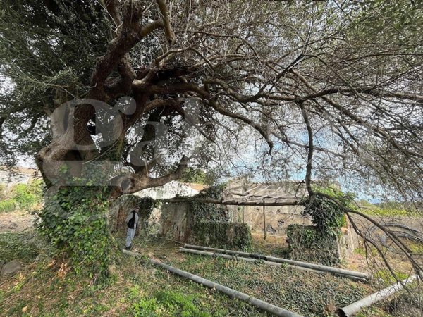 terreno agricolo in vendita a Mascali in zona Fondachello