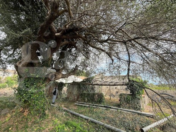 terreno agricolo in vendita a Mascali in zona Fondachello