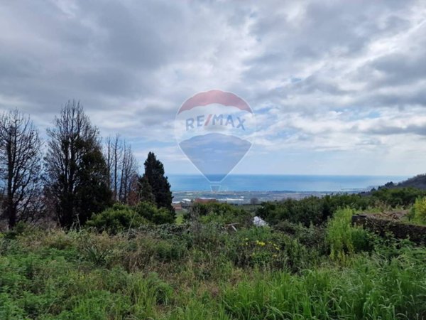 terreno agricolo in vendita a Mascali