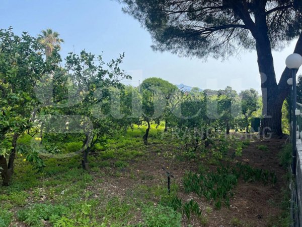 terreno agricolo in vendita a Mascali in zona Fondachello