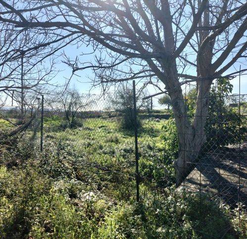 casa indipendente in vendita a Mascali in zona Fondachello