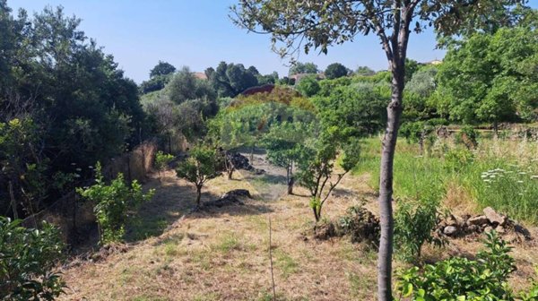 terreno agricolo in vendita a Mascali in zona Santa Venera