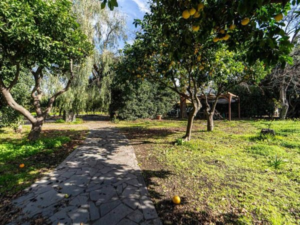 terreno agricolo in vendita a Mascali