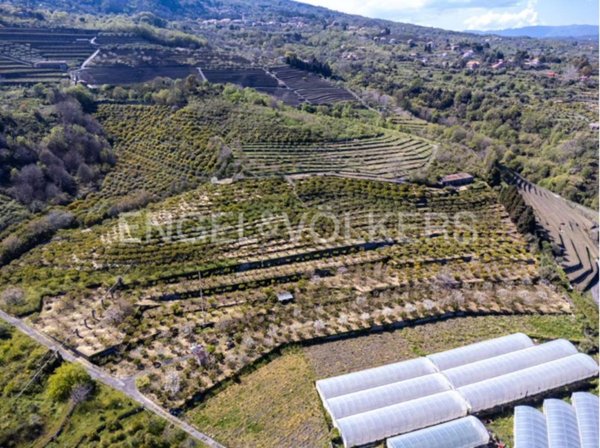 azienda agricola in vendita a Mascali in zona Fondachello
