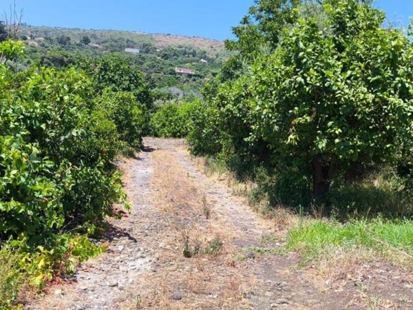 terreno agricolo in vendita a Mascali