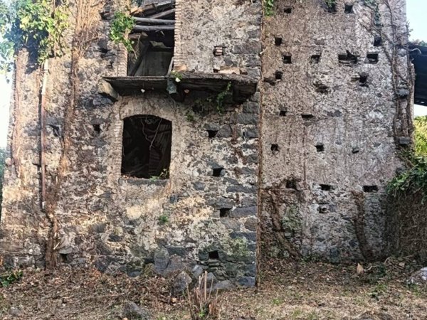 terreno agricolo in vendita a Mascali