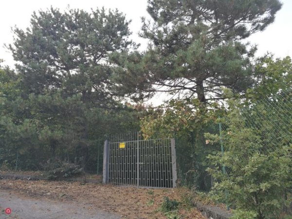 casa indipendente in vendita a Mascali in zona Puntalazzo