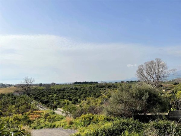terreno agricolo in vendita a Mascali