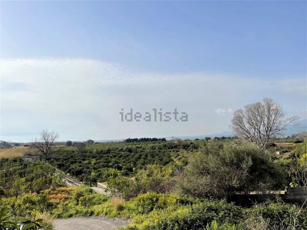 terreno agricolo in vendita a Mascali