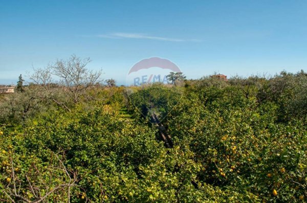 terreno agricolo in vendita a Mascali in zona Fondachello