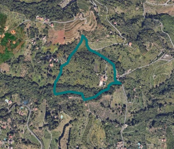 negozio in vendita a Mascali in zona Puntalazzo