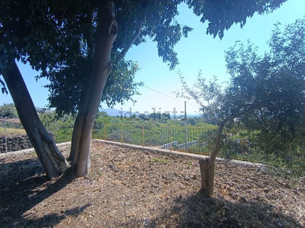 terreno agricolo in vendita a Mascali