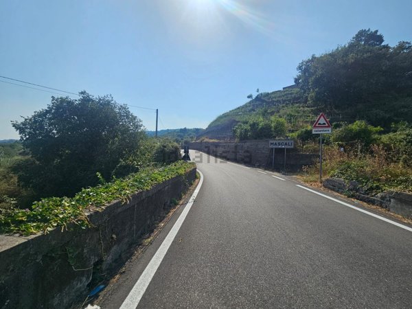 terreno agricolo in vendita a Mascali