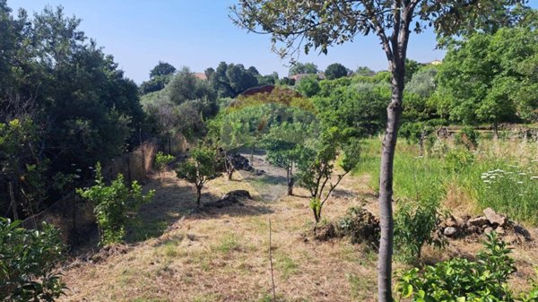 terreno agricolo in vendita a Mascali