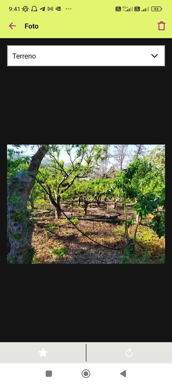 terreno agricolo in vendita a Mascali