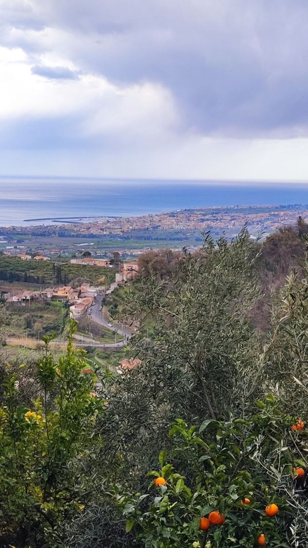 terreno agricolo in vendita a Mascali