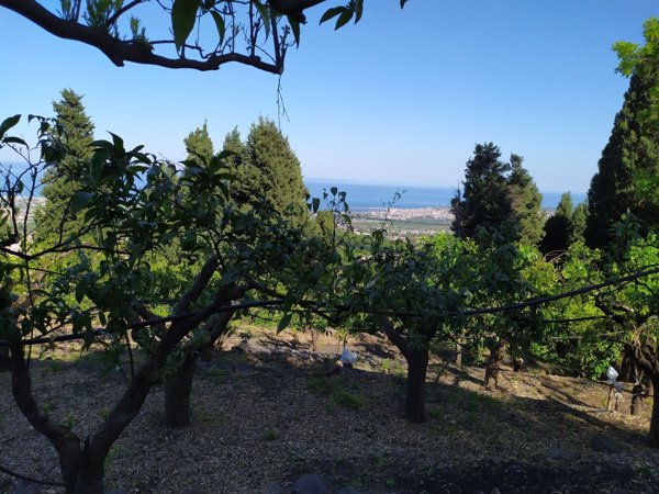 terreno agricolo in vendita a Mascali