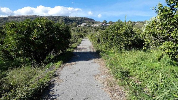 terreno agricolo in vendita a Mascali