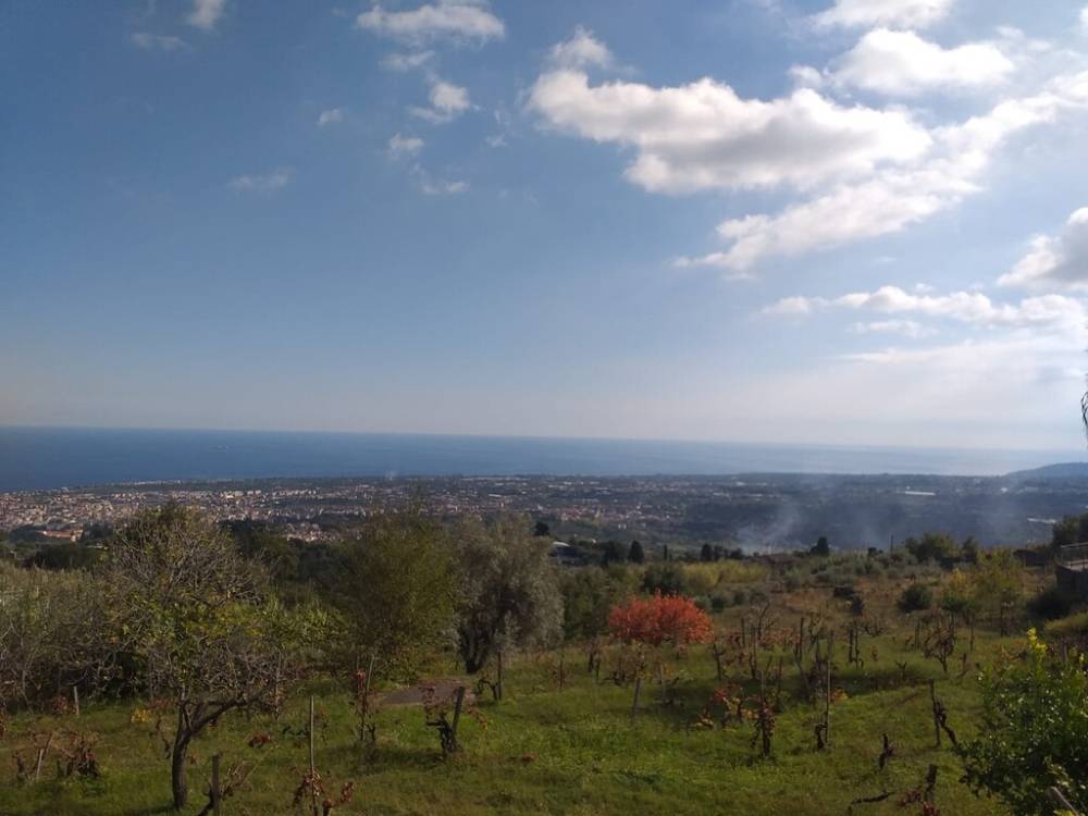 terreno agricolo in vendita a Mascali