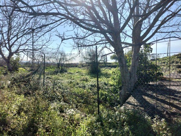 terreno agricolo in vendita a Mascali