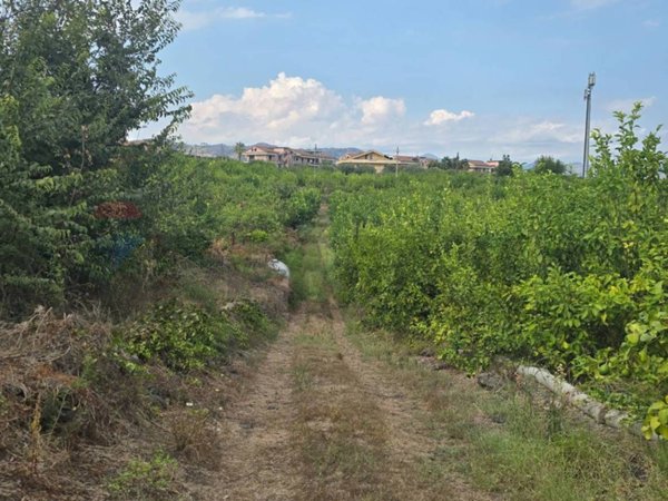 terreno agricolo in vendita a Mascali