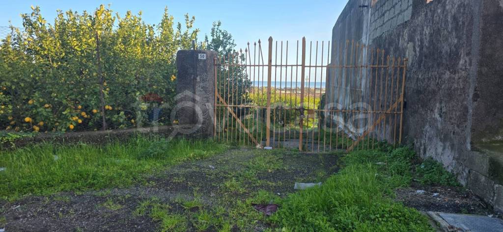 terreno agricolo in vendita a Mascali