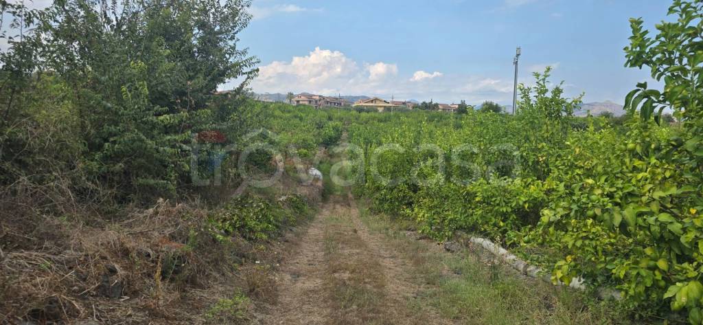 terreno agricolo in vendita a Mascali