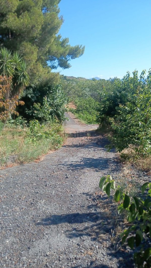casa indipendente in vendita a Mascali in zona Montargano