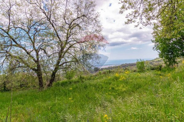 terreno agricolo in vendita a Mascali