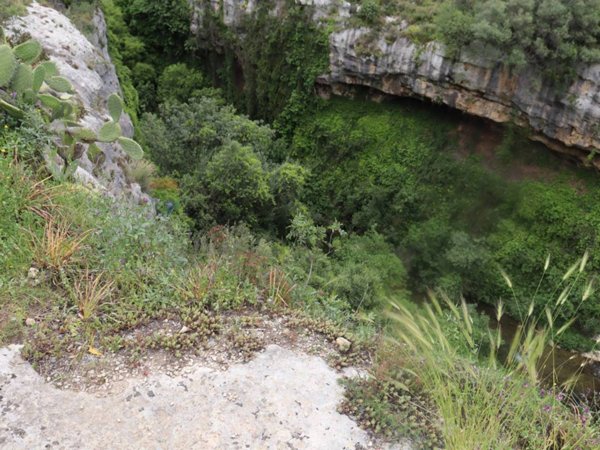 terreno agricolo in vendita a Mascali