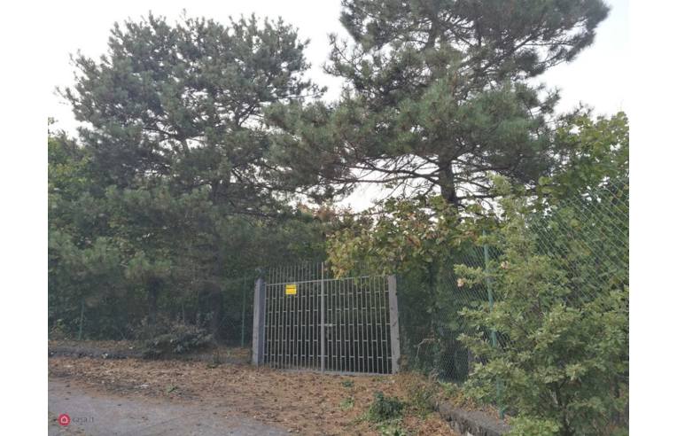 casa indipendente in vendita a Mascali in zona Puntalazzo