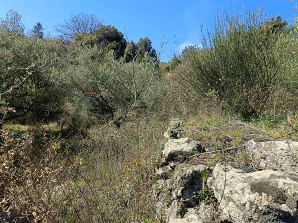 terreno agricolo in vendita a Mascali in zona Montargano