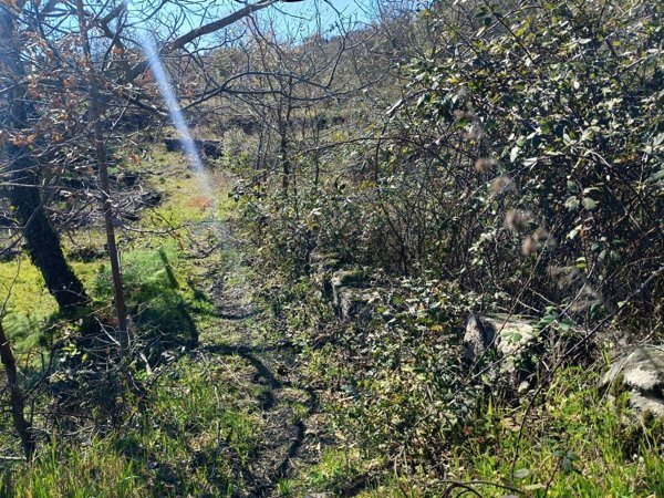 terreno agricolo in vendita a Mascali in zona Puntalazzo