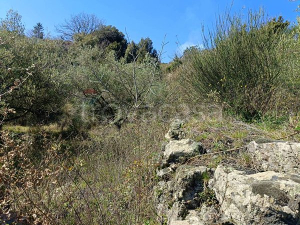 terreno agricolo in vendita a Mascali in zona Montargano