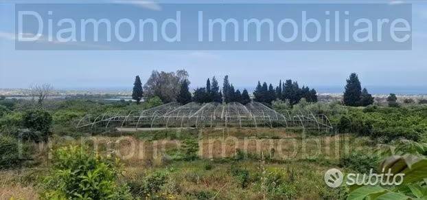 terreno agricolo in vendita a Mascali
