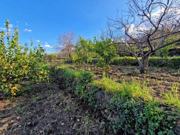 terreno agricolo in vendita a Mascali