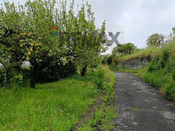 azienda agricola in vendita a Mascali in zona Nunziata