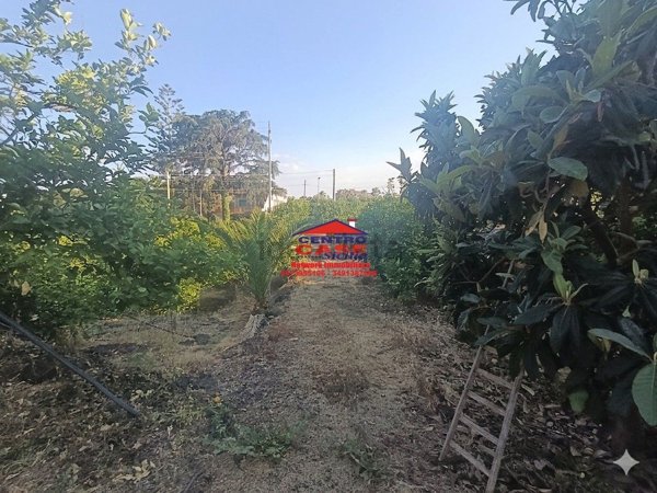 casa indipendente in vendita a Mascali in zona Nunziata
