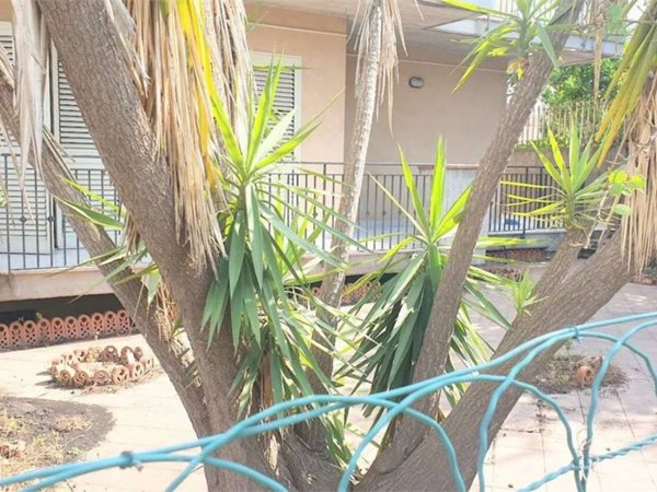 appartamento in vendita a Mascali in zona Carrabba