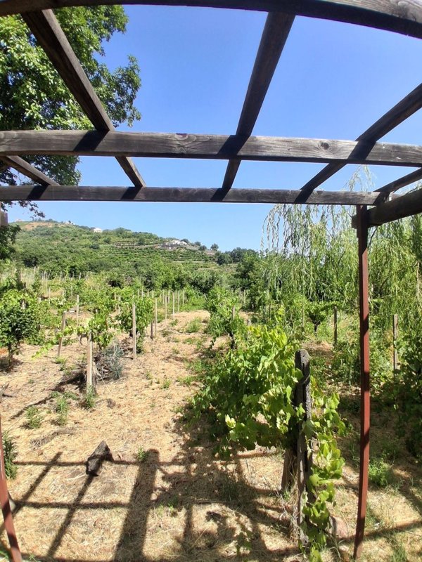 appartamento in vendita a Mascali in zona Nunziata