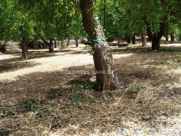 terreno agricolo in vendita a Mascali in zona Carrabba