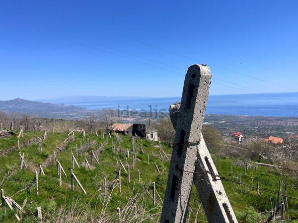terreno agricolo in vendita a Mascali in zona Montargano