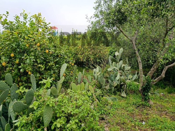 casa indipendente in vendita a Mascali in zona Nunziata