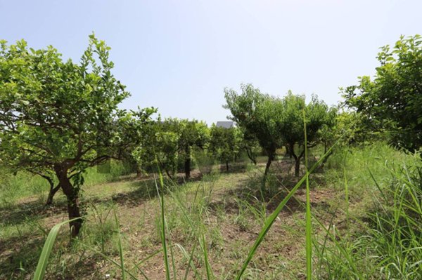 terreno agricolo in vendita a Mascali in zona Nunziata
