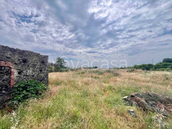 terreno agricolo in vendita a Mascali