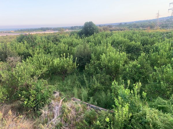 terreno agricolo in vendita a Mascali in zona Carrabba