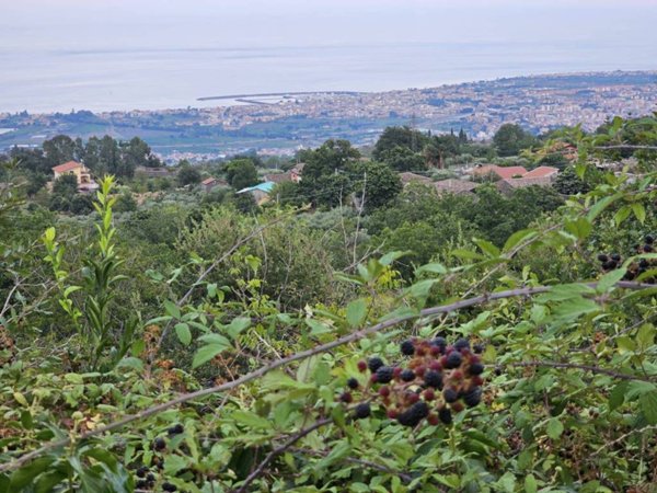 terreno agricolo in vendita a Mascali