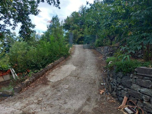 terreno agricolo in vendita a Mascali